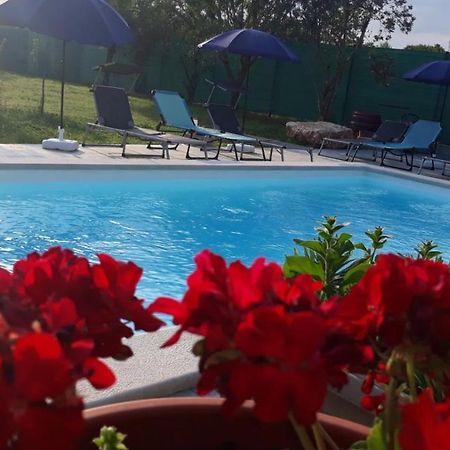 Holiday Home Dioniza Vodnjan Ngoại thất bức ảnh