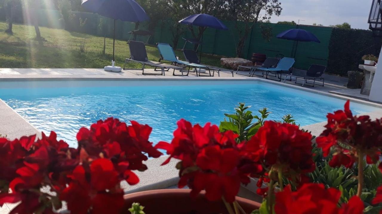 Holiday Home Dioniza Vodnjan Ngoại thất bức ảnh