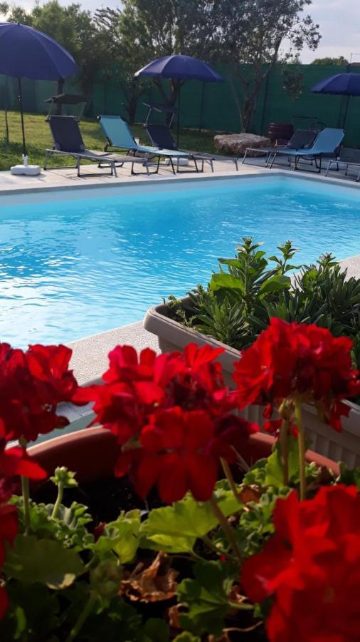 Holiday Home Dioniza Vodnjan Ngoại thất bức ảnh